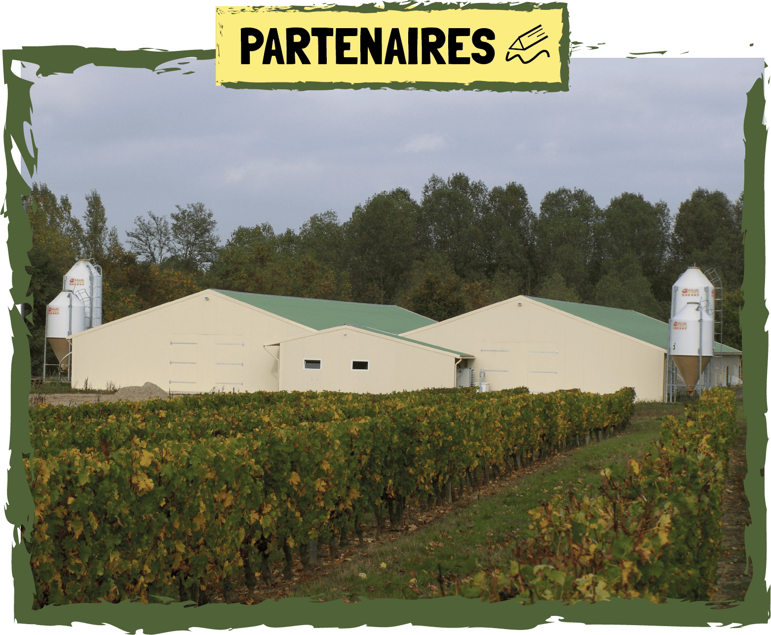 NTD France 4ème contributeur pour soutenir une agriculture locale et française 🤝